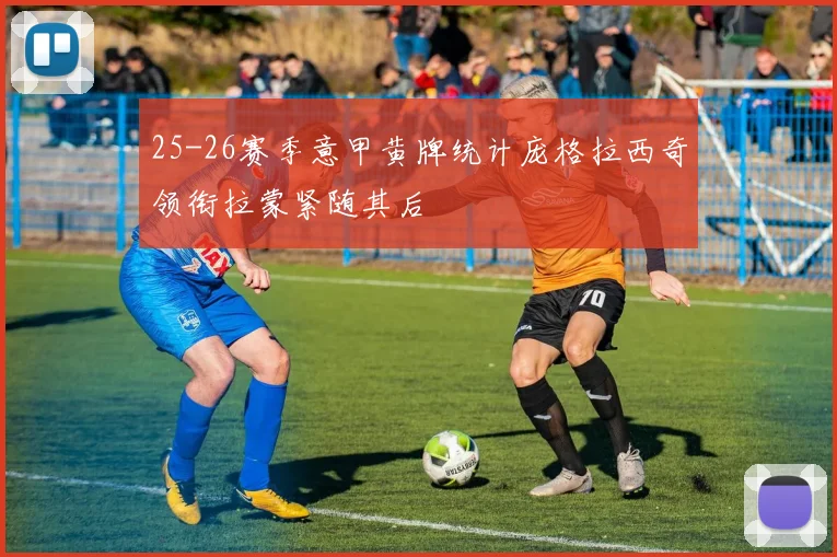25-26赛季意甲黄牌统计庞格拉西奇领衔拉蒙紧随其后